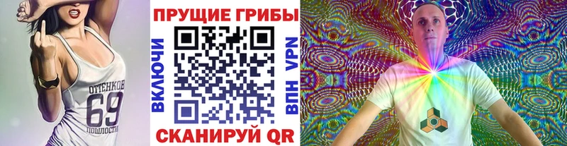 Псилоцибиновые грибы мицелий  ссылка на мегу зеркало  Нариманов 